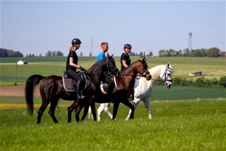 Alle3_OS222773