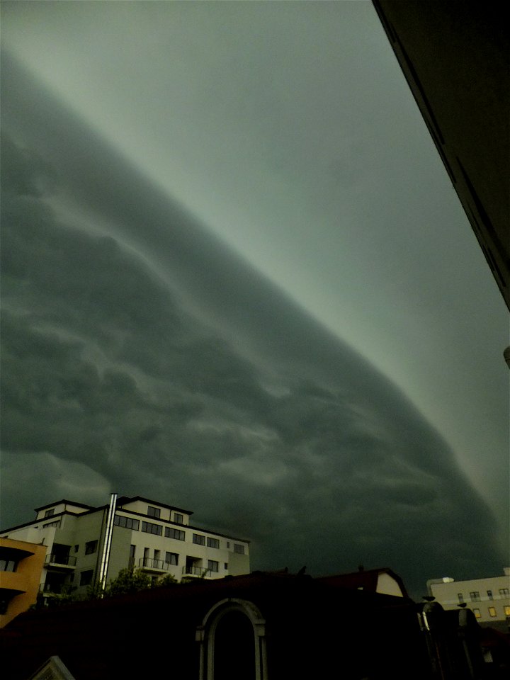 nori-sediu2015_0507_075336(1)