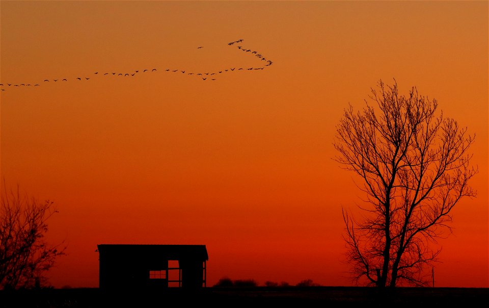 Spring Waterfowl at Sunset Huron Wetland Management District