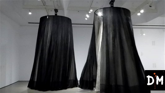 Black Curtains photo
