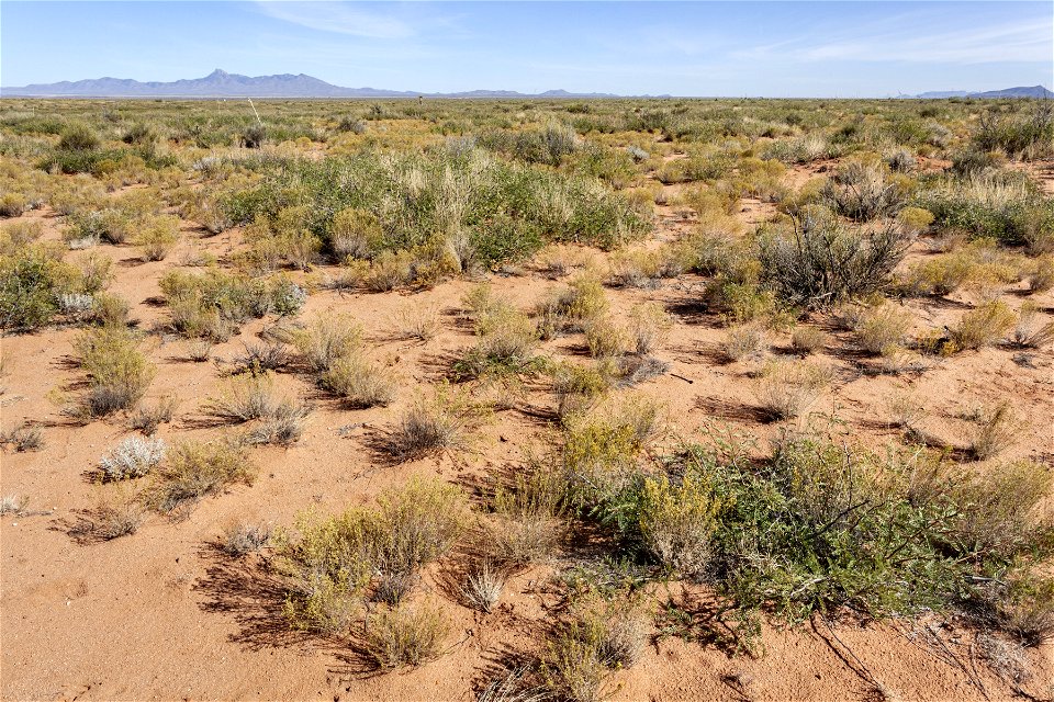 North-northeast of Antelope Hill