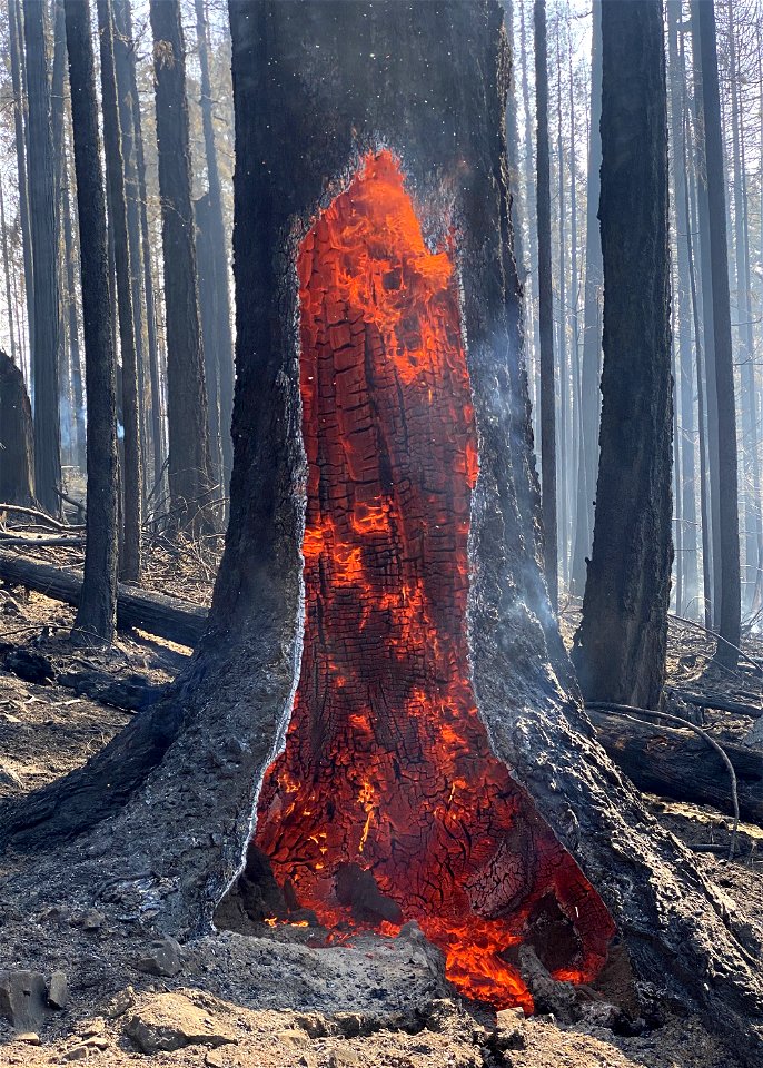 2021 BLM Fire Employee Photo Contest Category: The Land We Protect