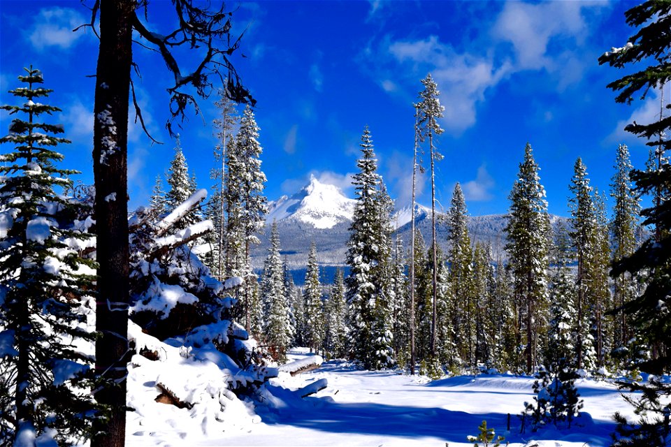 scenery-32jpg_49385873317_o