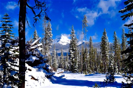 scenery-32jpg_49385873317_o