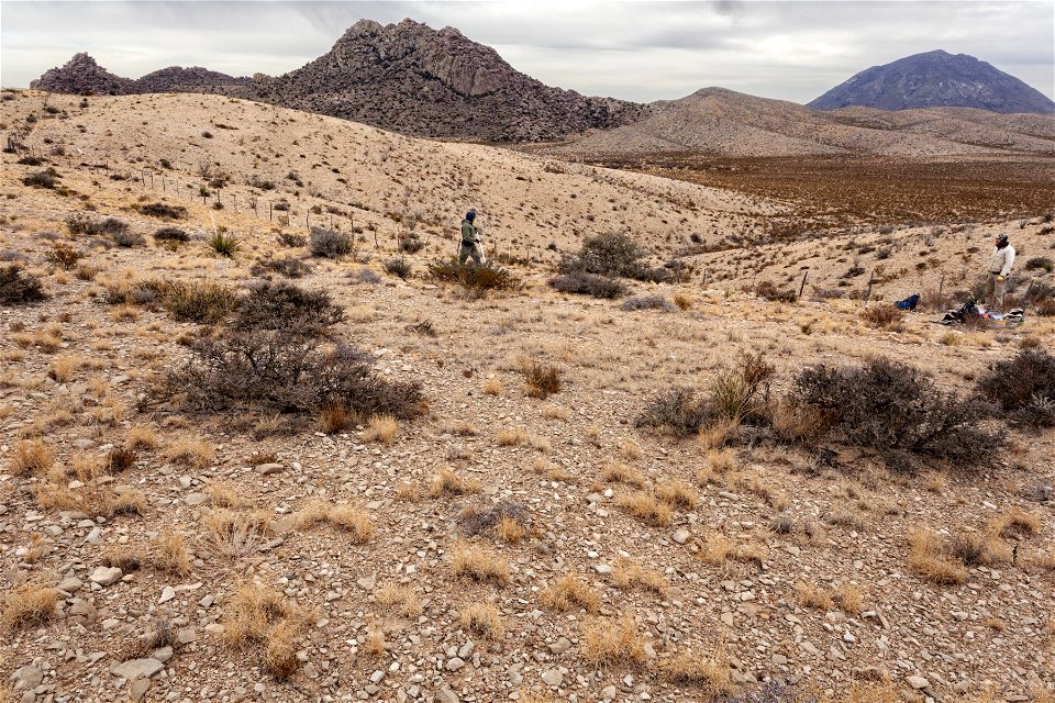 Otero Mesa