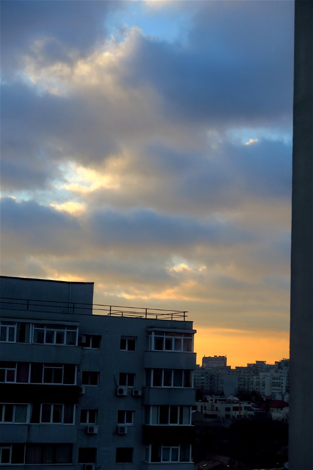 IMG_0421