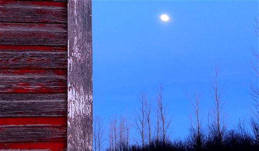 2023/365/94 Barn, Moon, Light, Trees photo