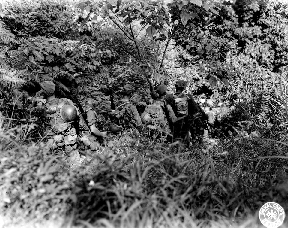 SC 270988 - Troops of 31st Div., 1st Plat., 145th Regt., descend 60 feet down life line to make crossing to other side of road, after Mutian Bridge on Sayre Highway was wrecked by retreating Japs. Mindanao, P.I. 30 April, 1945.