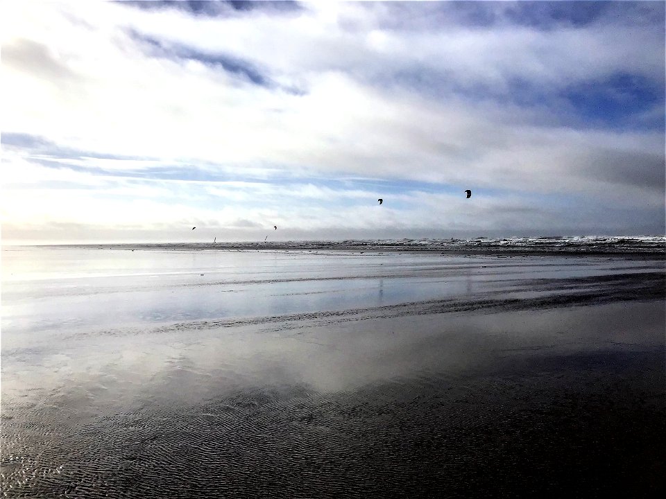 Kite Surfing, Kiteboarding  , Windsurfing , Saunton Sands Beach, Braunton, North Devon, UK 29th January 2022 (Apple Ipod Panoramic Photo)