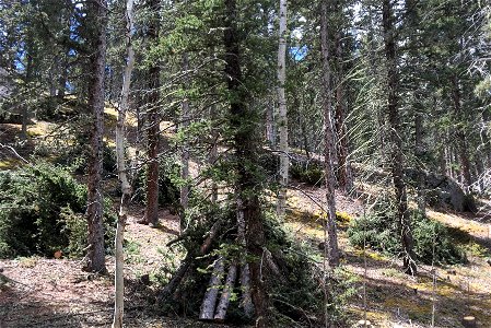 Wildland Fuel Reduction