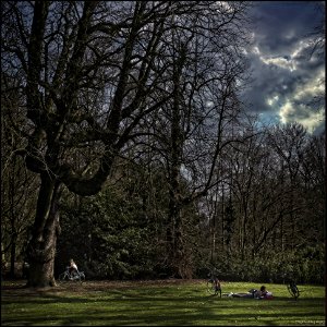Park Life