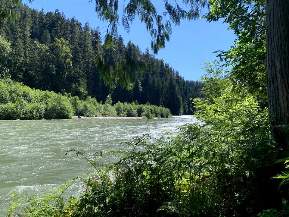 Old Sauk, Mt. Baker-Snoqualmie National Forest. Photo by Sydney Corral June 28, 2021