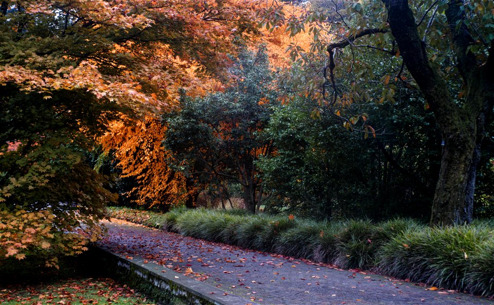 Villa Taranto photo