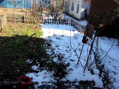 IMG_0269