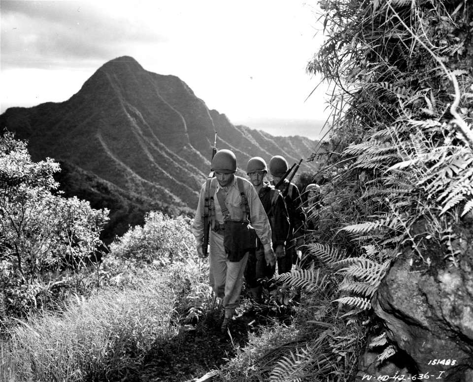 SC 151485 - The 34th Inf. camping at one of the Bivouac areas at Waikane during maneuvers. Hawaii.