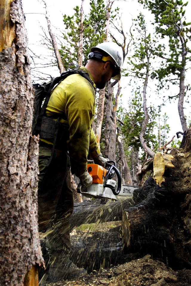 A Billings Veteran's Crew Hotshot on the Robertson Fire