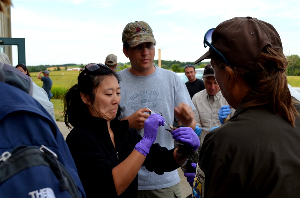 Oral swab sampling