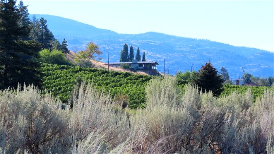 Pentiction and Naramata