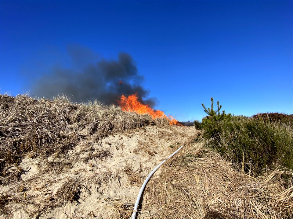 Siuslaw Oregon Dunes Prescribed Burn 2022
