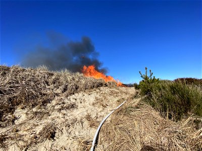 Siuslaw Oregon Dunes Prescribed Burn 2022