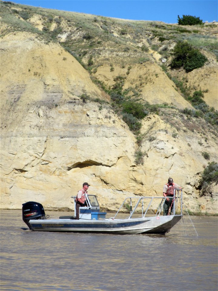 Trammel Netting in the Missouri River System photo