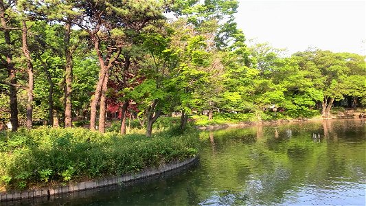 Myoshoji Park in Suginami-ku