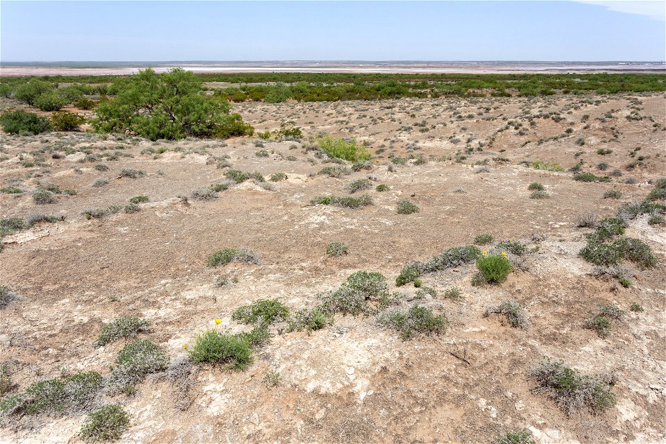Forty-niner Ridge