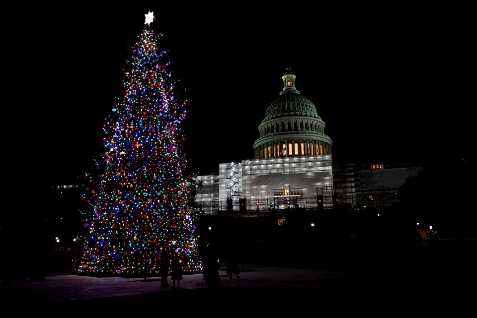 2022-1129-Capitol-ChristmasTree-Lighting-Ceremony (114) photo