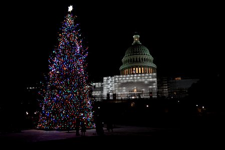 2022-1129-Capitol-ChristmasTree-Lighting-Ceremony (114) photo
