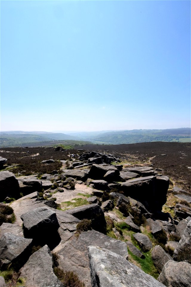 DSC_0280 (2)