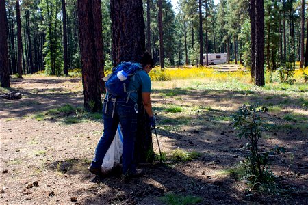 Pickin in the Pines 2021-32 photo