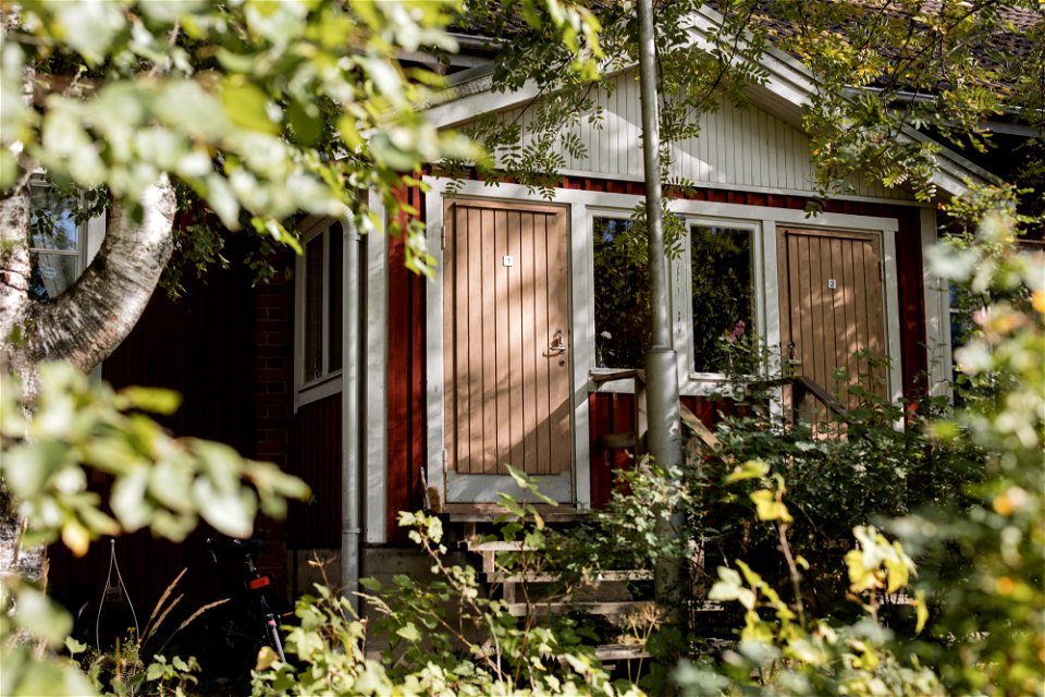 Lintupajun hevostila, Jokioinen