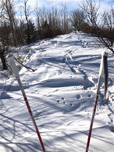 Atop The Big Drifts