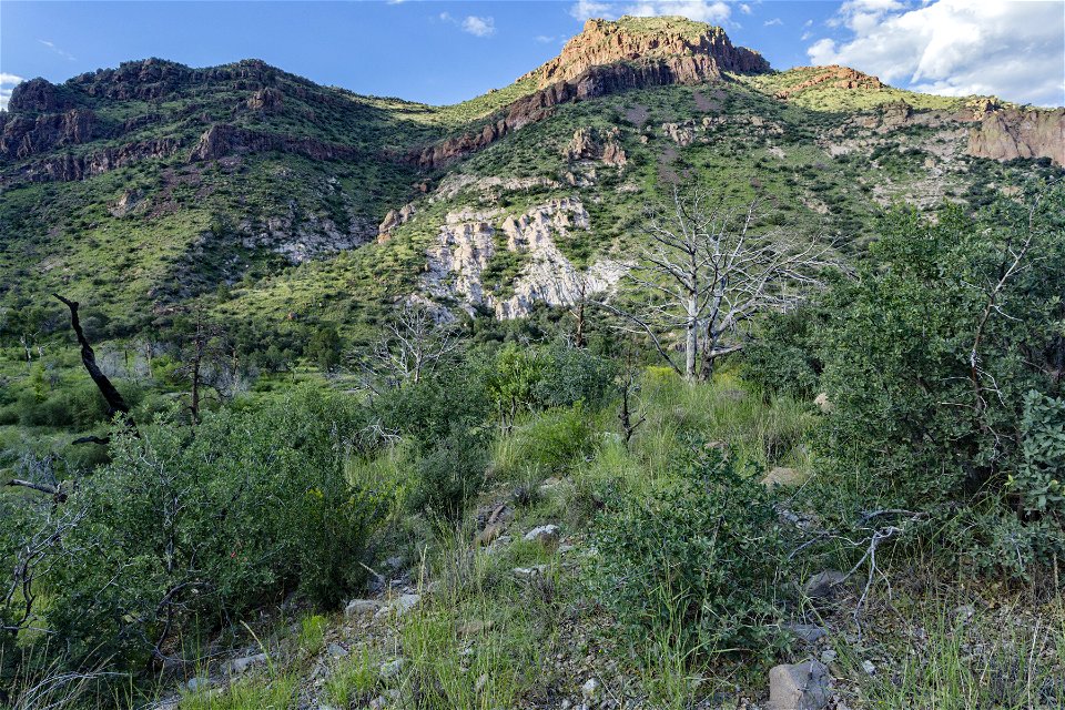 Las Animas Creek