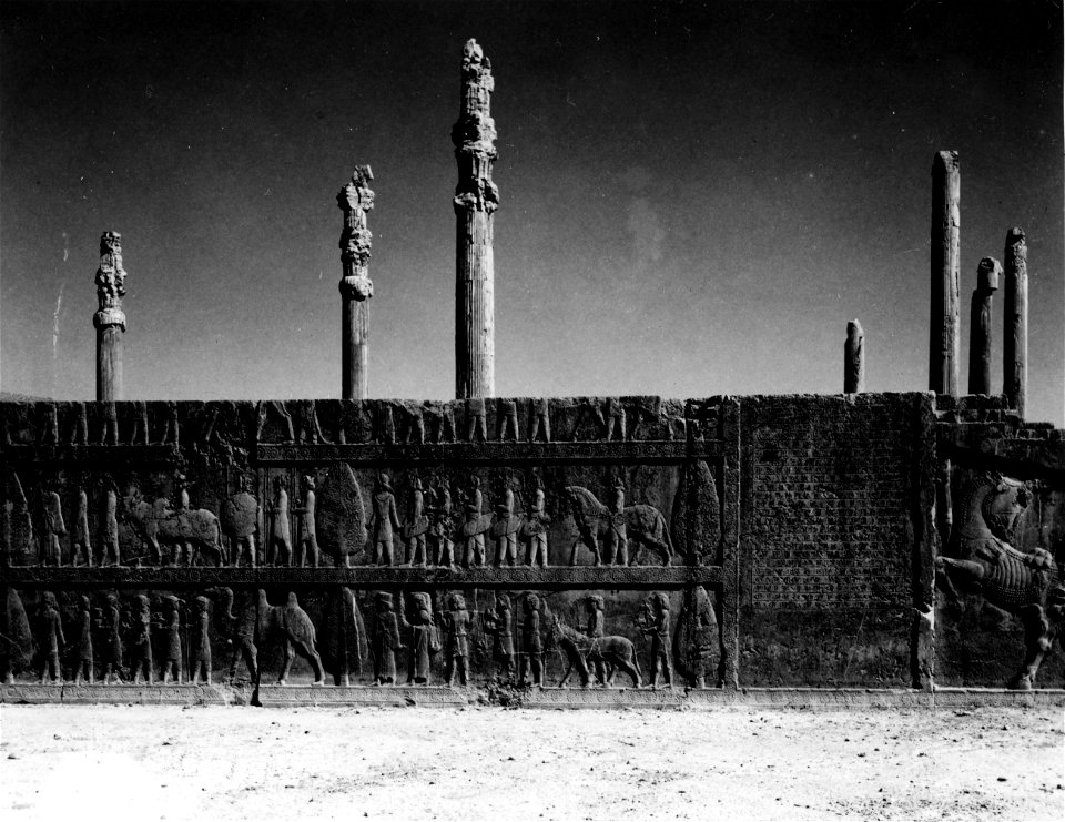 SC 337328 - Persepolis. Hall of Xerxes (Apadana).