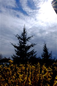soare-nori2015_0401_135341