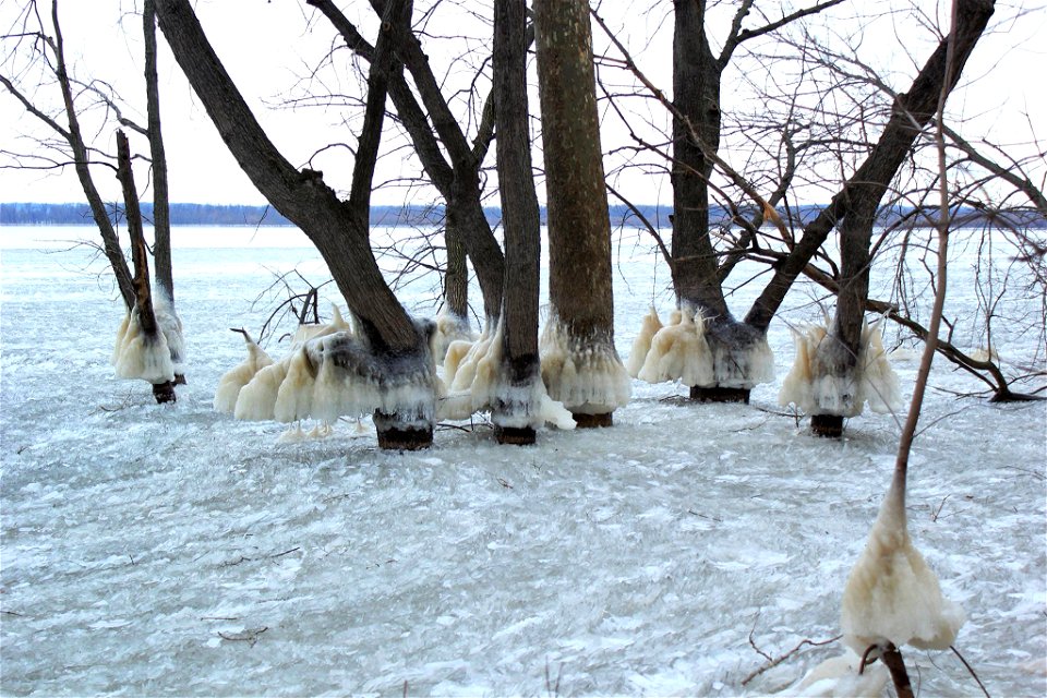 Interesting Ice