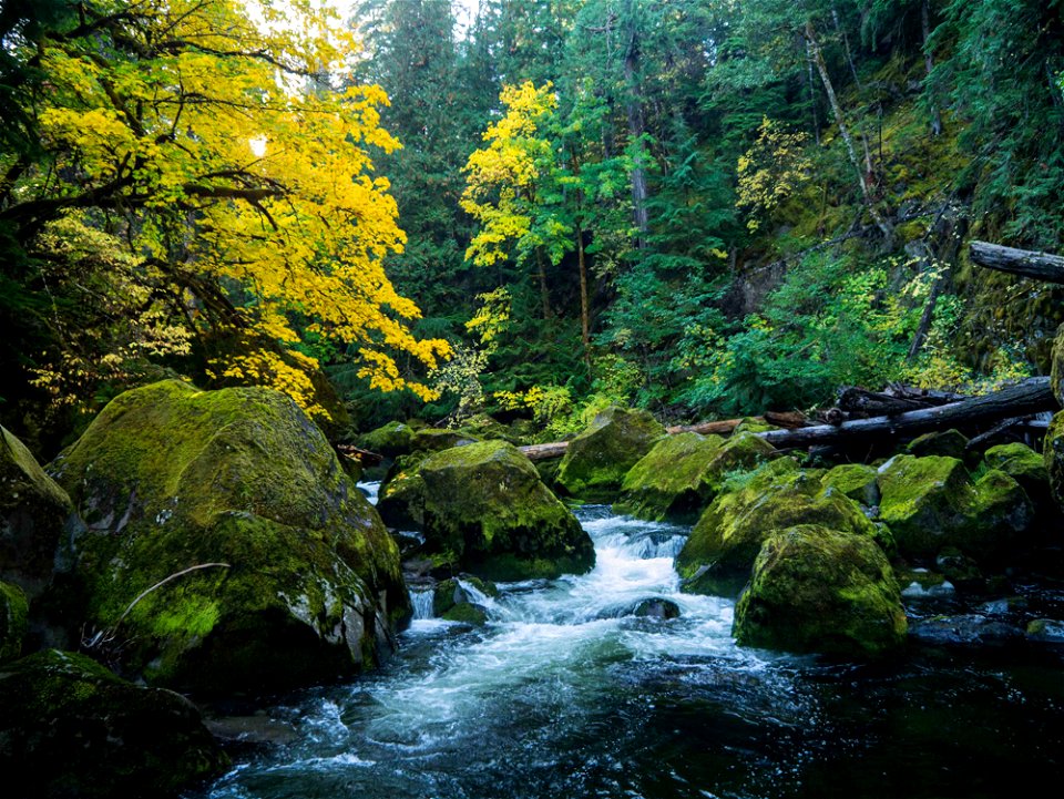 fish-creek-karl-konecnyjpg_49385710032_o