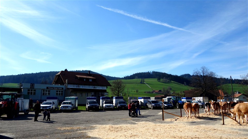 DSC01860