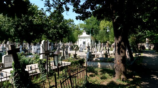 Bellu_cemetery (22) photo