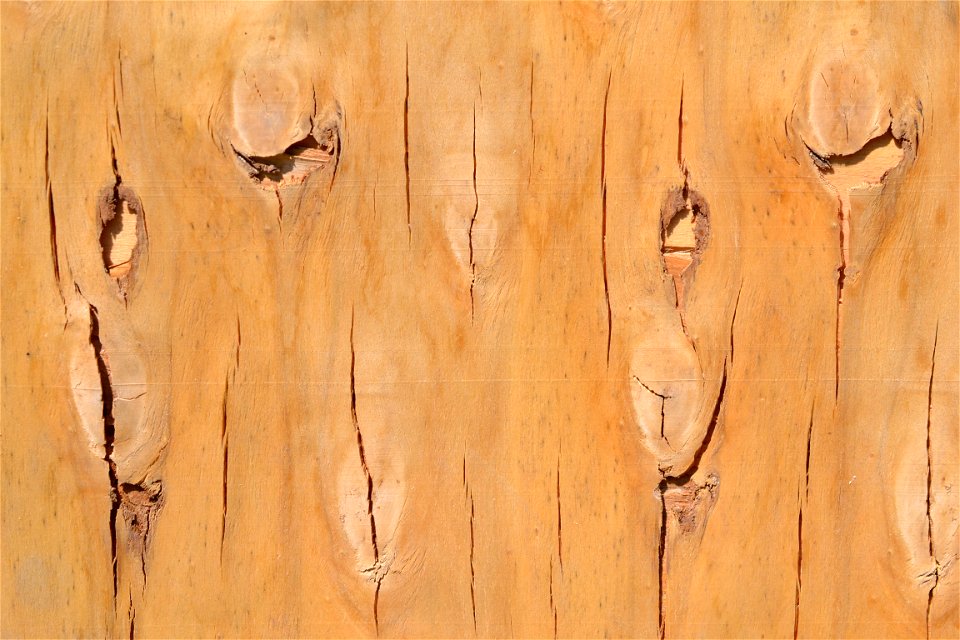 Texture