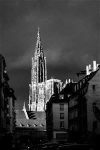 la cathedrale photo