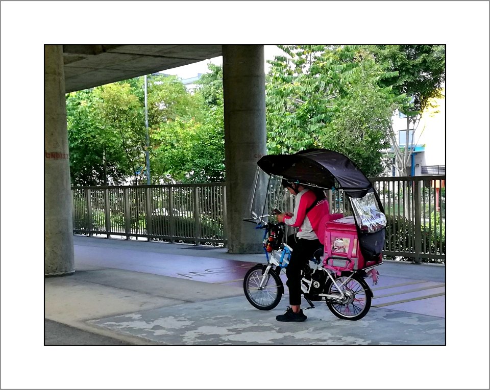 All weather bike