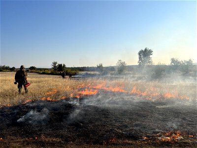 Prescribed fire near Sacramento River Bend Area