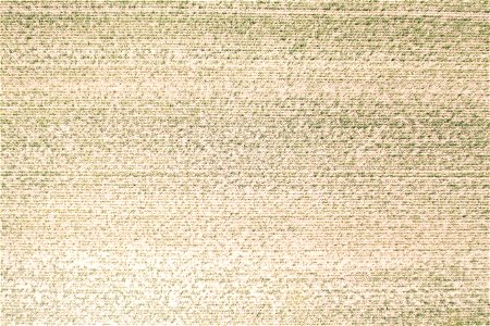 Jgibson-0891