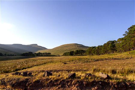 IMG_3255