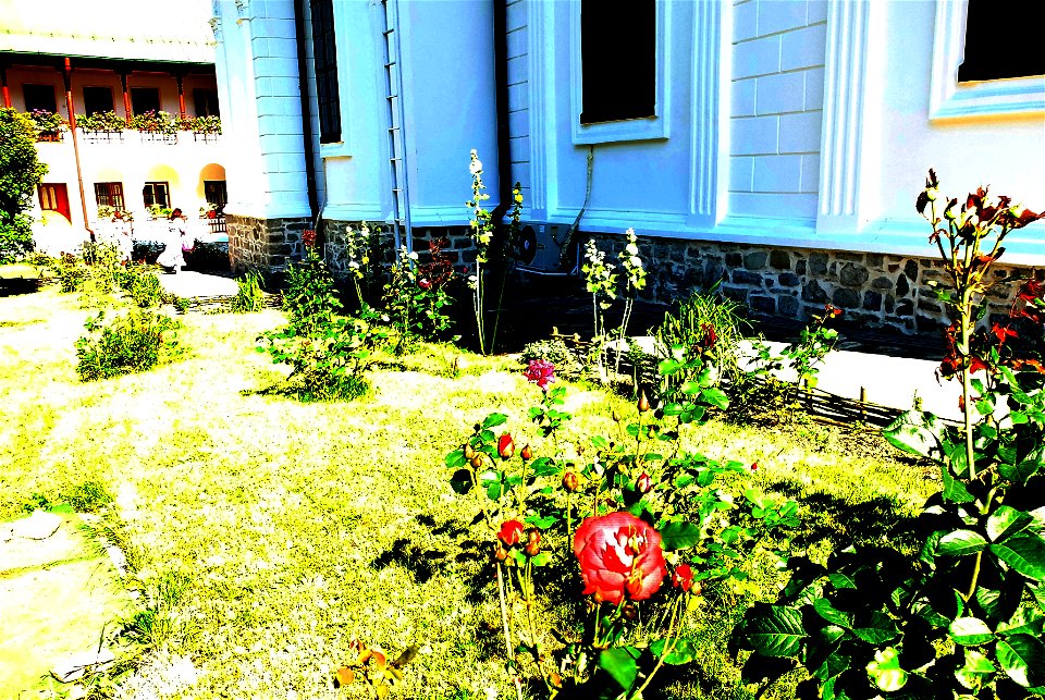 manastirea_Agapia2015_0811_152726