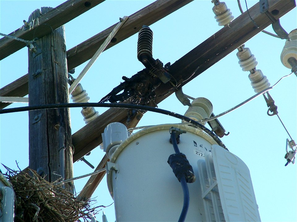 Fire Investigation: power generation cause