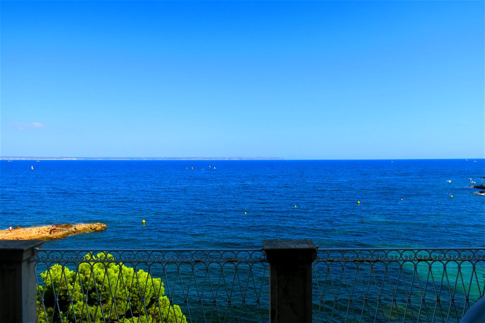 Palma is pretty incredible