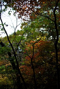 Deoksungsan Mountain